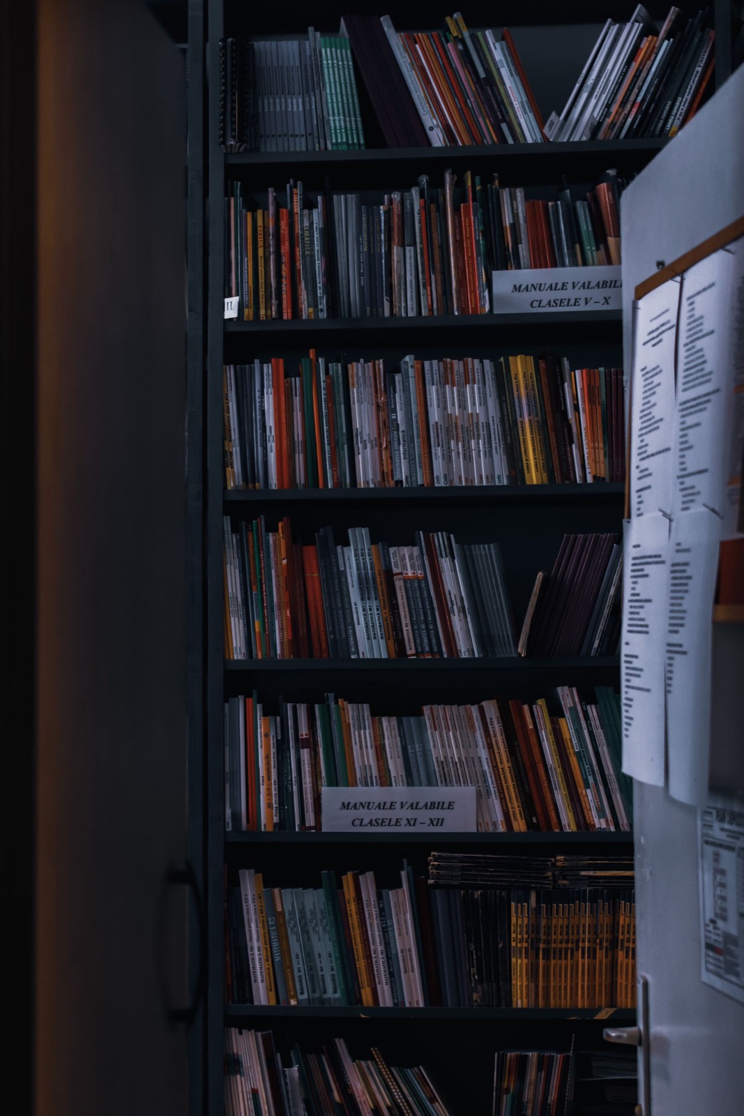 Library shelves with books